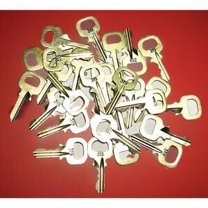 Louis Vuitton Key # 319 Brass 100% Genuine LV Series 300 “ONE KEY”